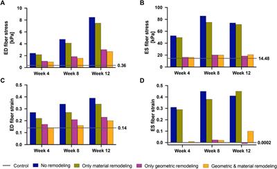 A computational study of right ventricular mechanics in a rat model of pulmonary arterial hypertension